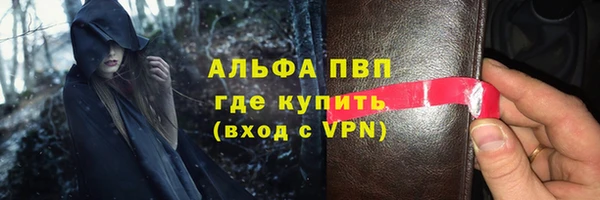 стаф Белокуриха