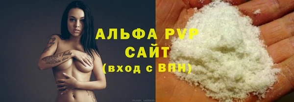 стаф Белокуриха