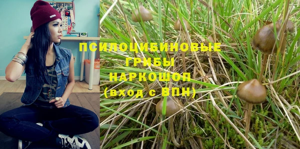 стаф Белокуриха