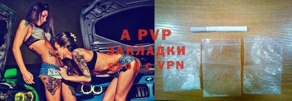 стаф Белокуриха