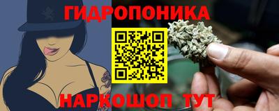 СК Аргун