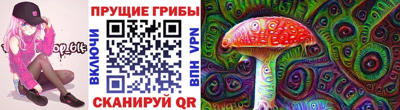 Галлюциногенные грибы MAGIC MUSHROOMS  hydra зеркало  Бугульма 