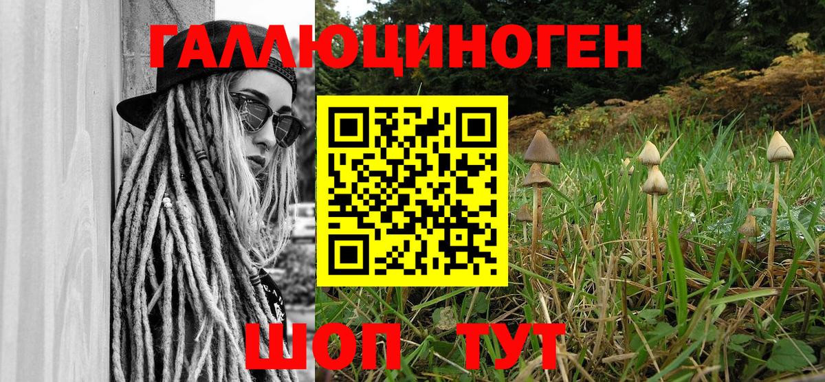 Псилоцибиновые грибы Psilocybine cubensis  где купить наркоту  Псилоцибиновые грибы Cubensis  Бугульма 