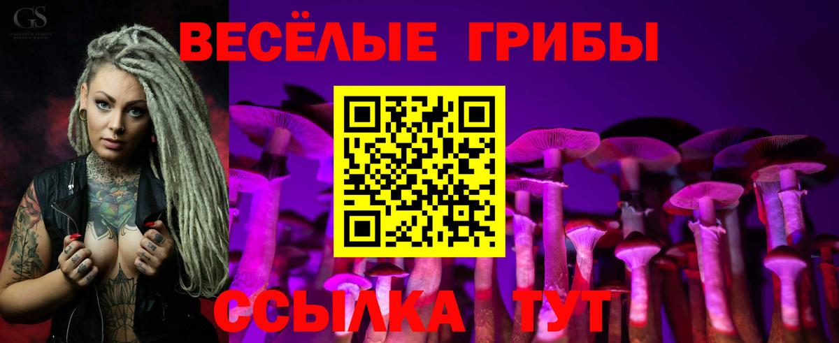 Псилоцибиновые грибы Psilocybe  Галлюциногенные грибы ЛСД  Вход с VPN  Бугульма 